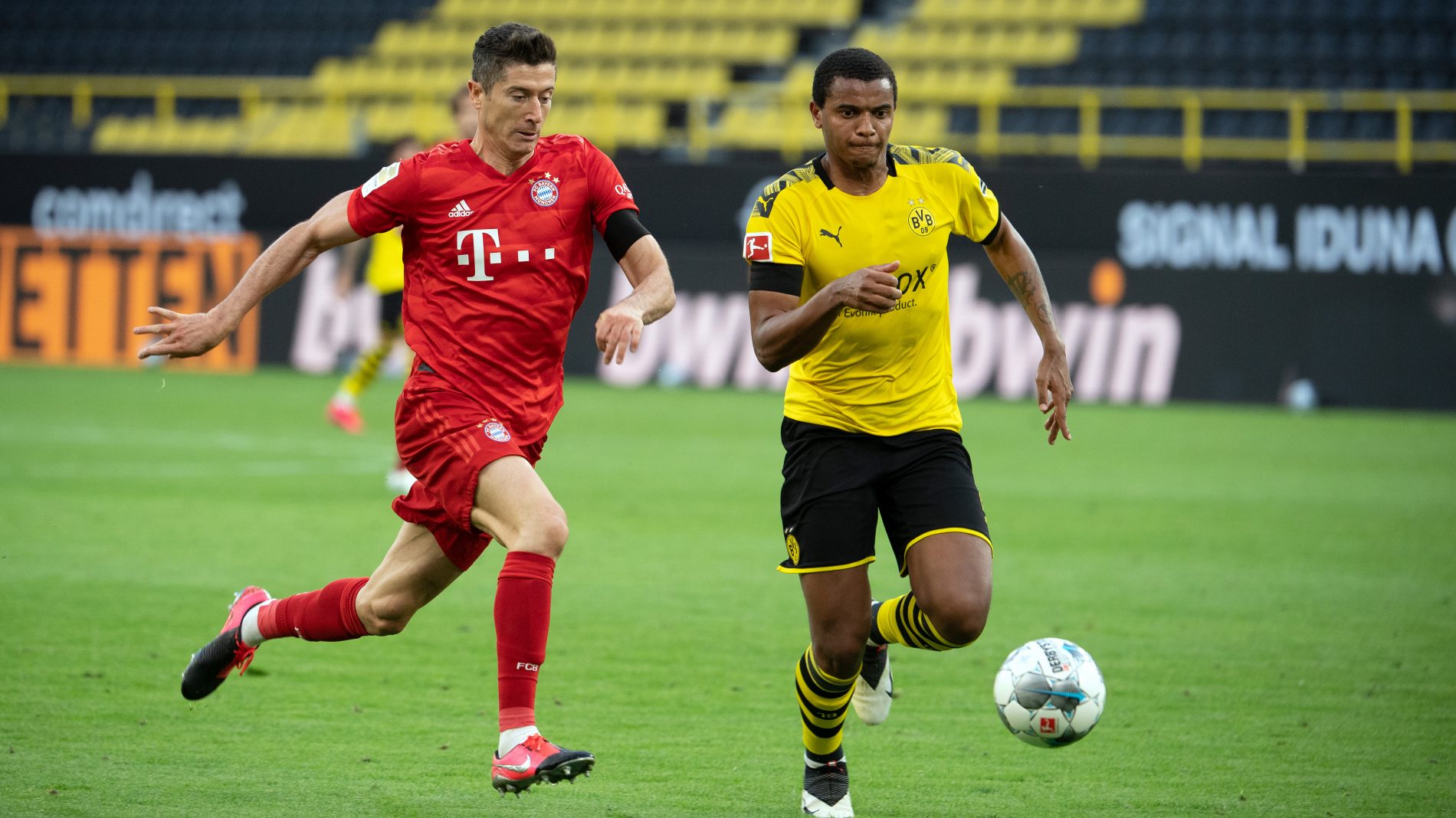 动物油脂精炼设备